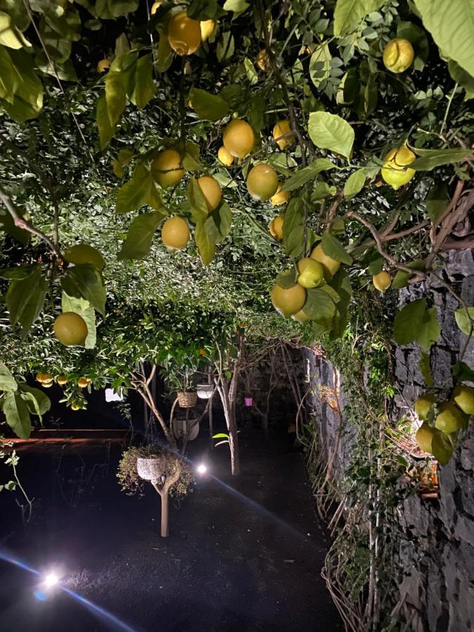 Casa Vacanza Cleo Catania-Fontanarossai nemzetközi repülőtér Kültér fotó